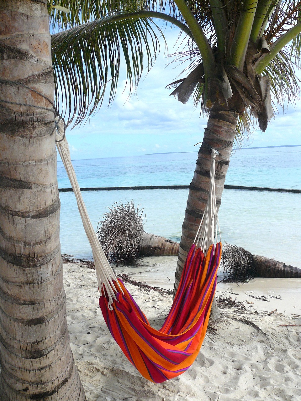 SORTEO VIAJE AL CARIBE PRIME LADY